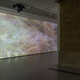 Sondra Perry, Installation view, Typhoon coming on